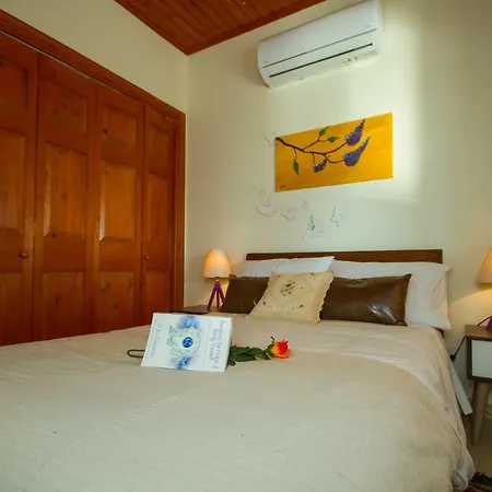 Holiday home Erigone By Agroholidays Vasa Kilaniou